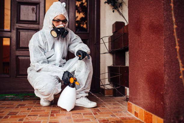 Reliable Wasp Removal contractor in Apple Valley, UT by Show Me Pest Control
